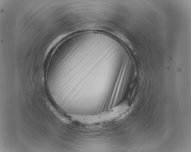 X0000076070981200610152223