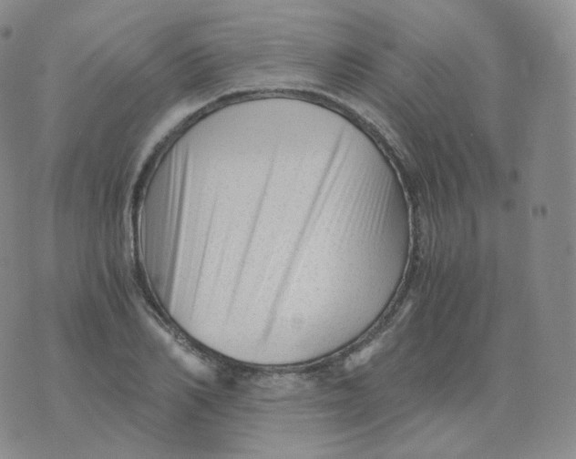 X0000076070982200610152223