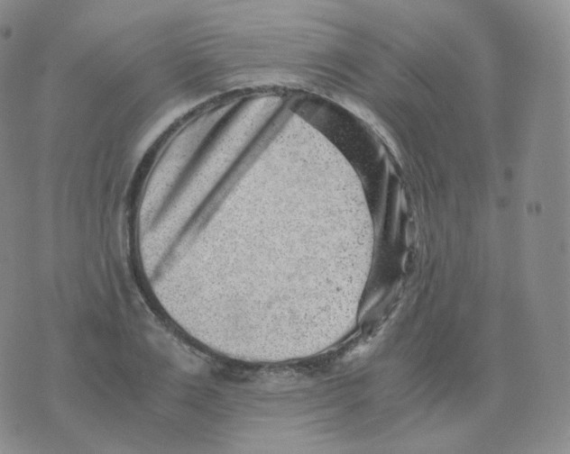 X0000076070983200610152223