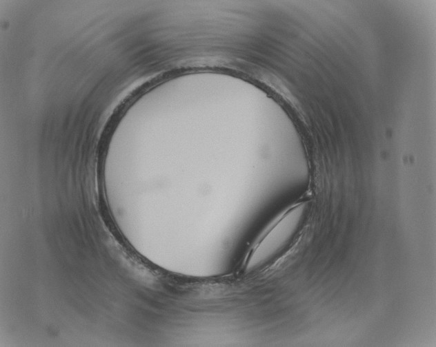 X0000076070984200610152223