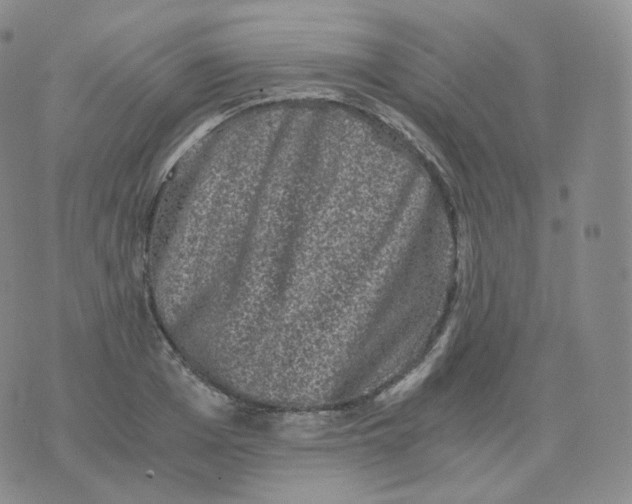 X0000076070985200610152223