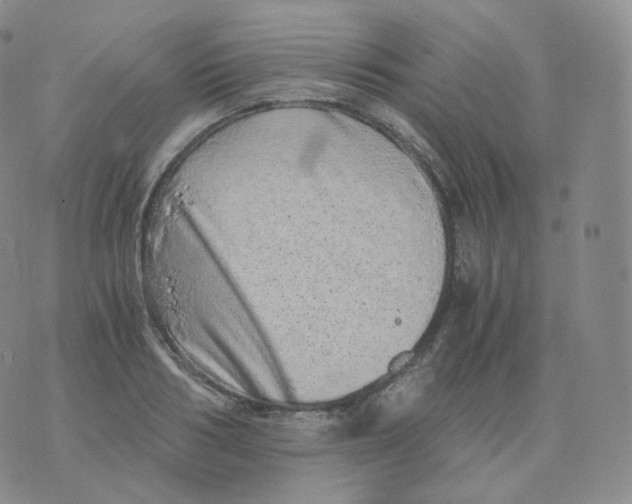 X0000076070986200610152223