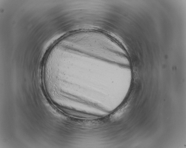 X0000076070987200610152223