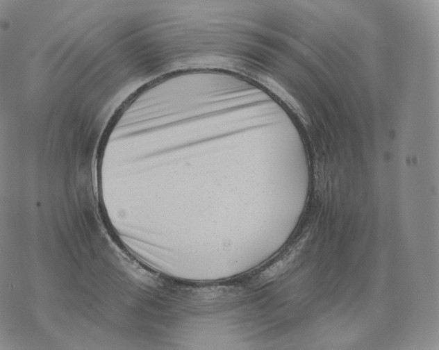 X0000076070988200610152223