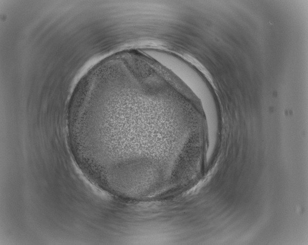 X0000076070989200610152223