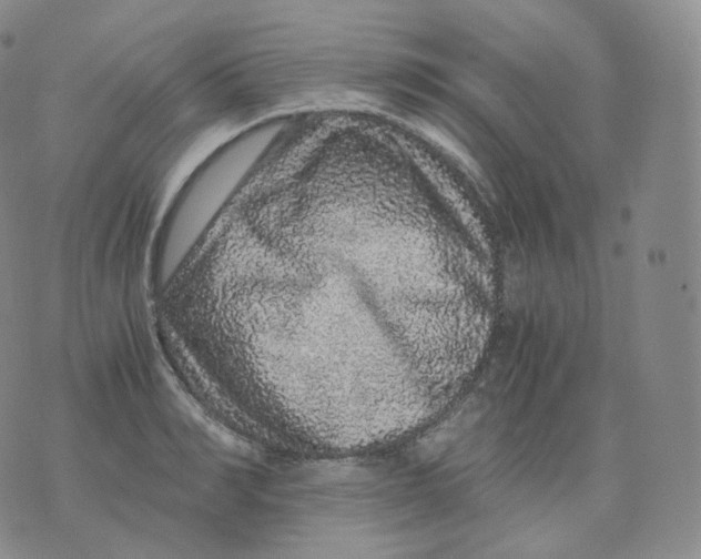 X0000076070990200610152223