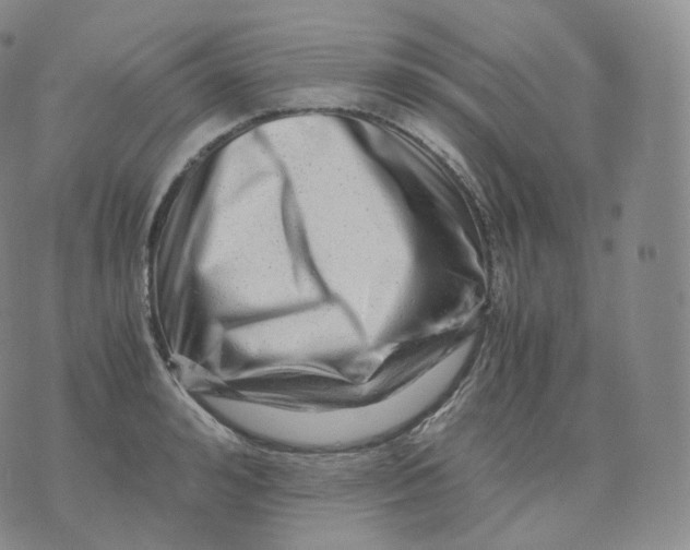 X0000076070992200610152223