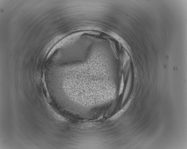 X0000076070993200610152223