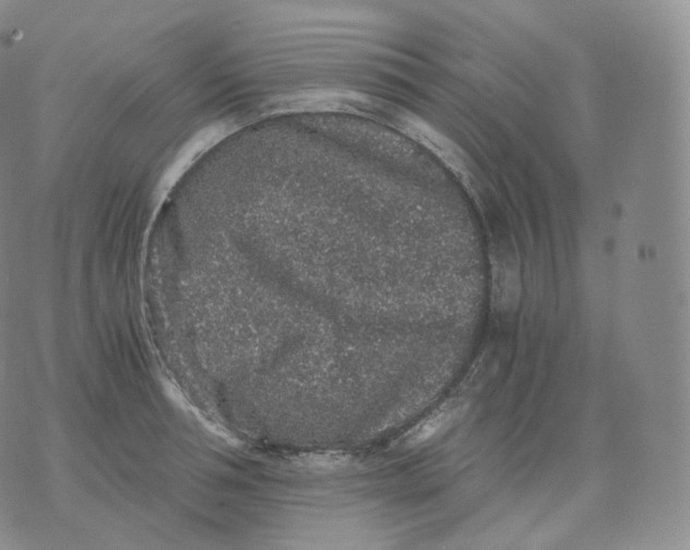 X0000076070994200610152223