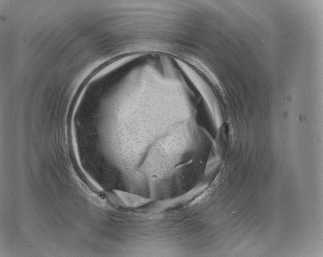 X0000076070996200610152223