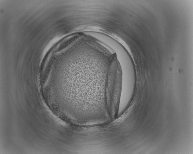 X0000076070997200610152223