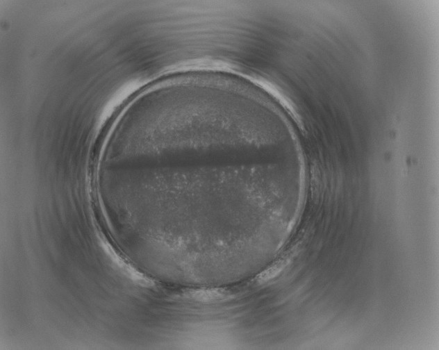 X0000076070998200610152223