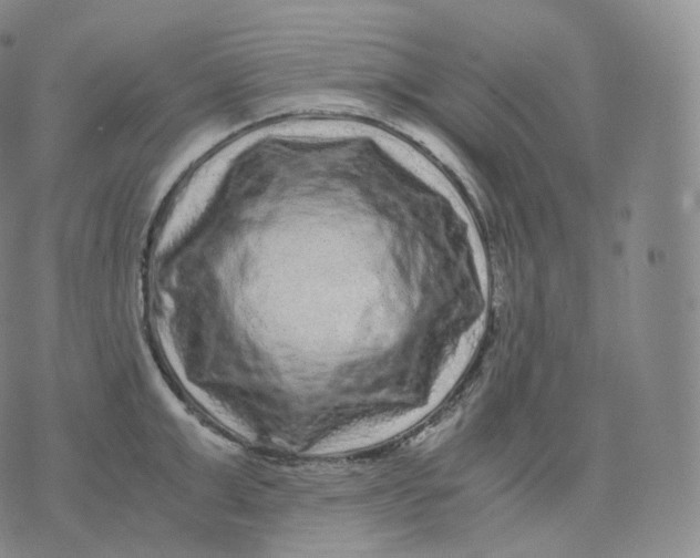 X0000076070999200610152223