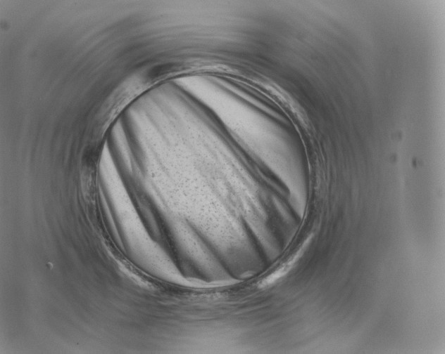 X0000076071001200610152223