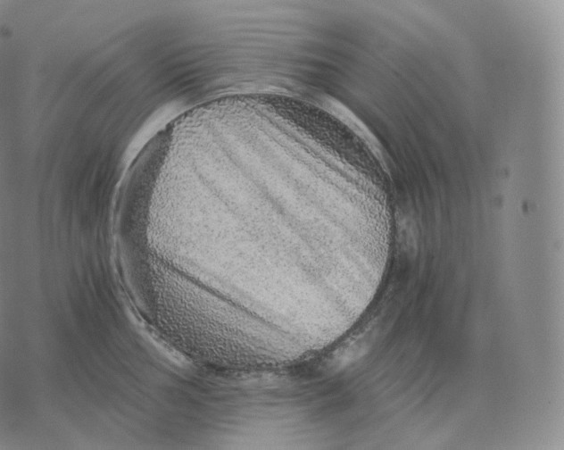 X0000076071002200610152223