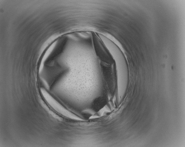 X0000076071005200610152223