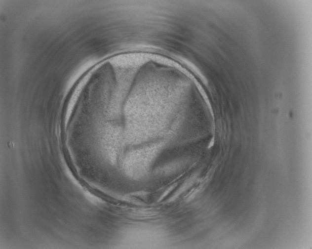 X0000076071007200610152223