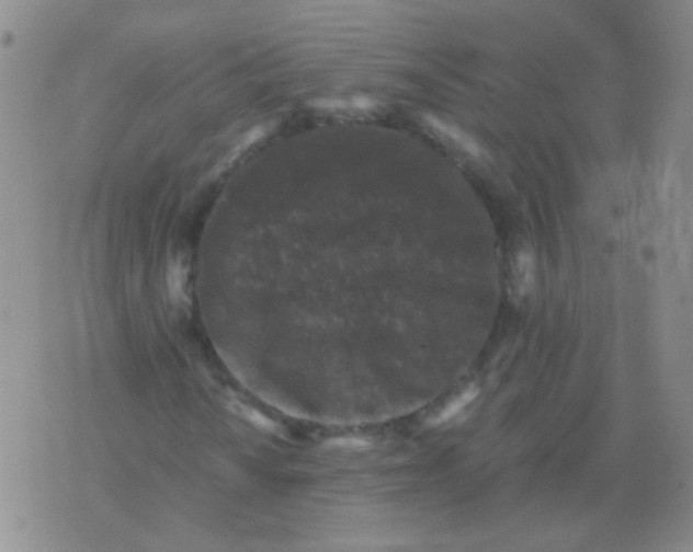 X0000076071010200610152222