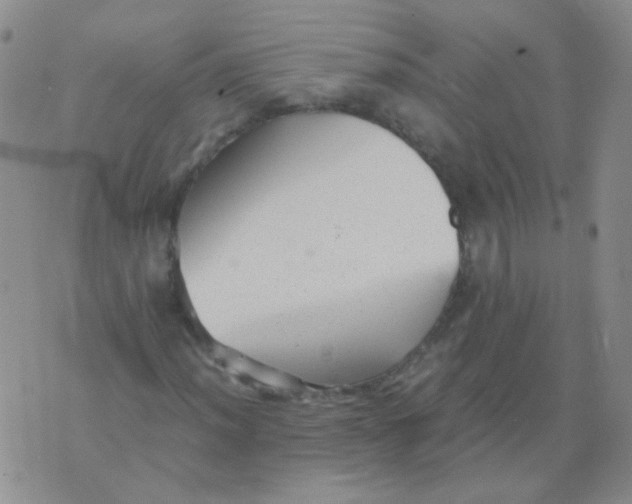 X0000076071012200610152222