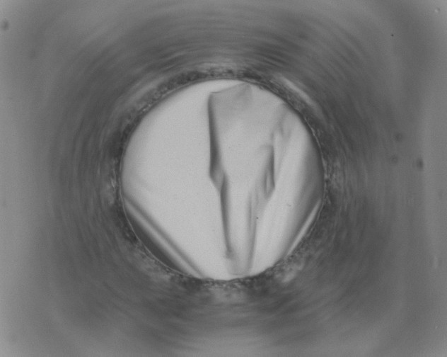 X0000076071015200610152222