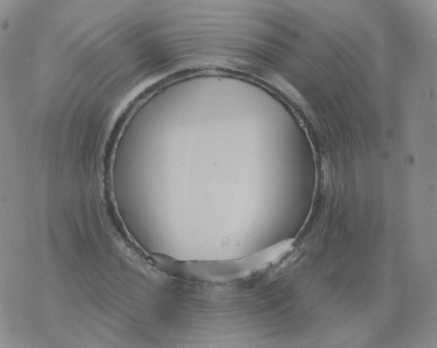 X0000076071020200610152222