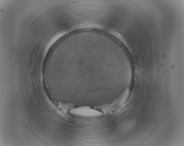 X0000076071024200610152222