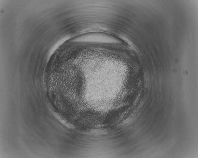 X0000076071026200610152222