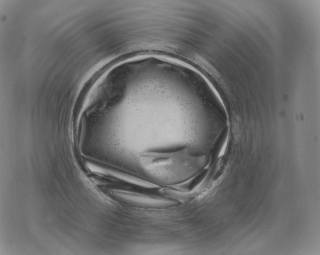 X0000076071028200610152222