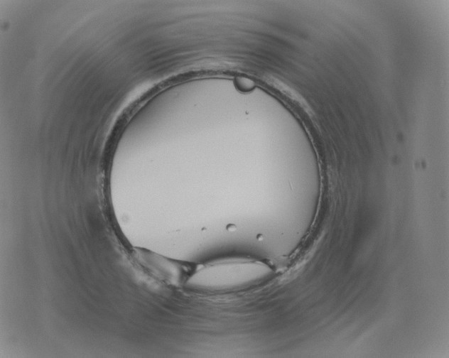 X0000076071029200610152222