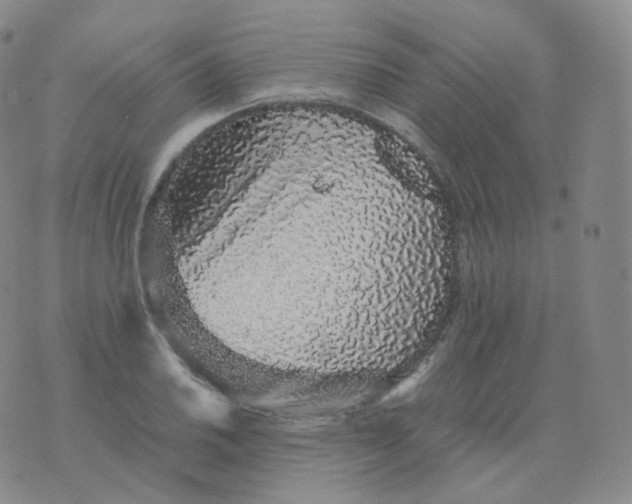 X0000076071030200610152222