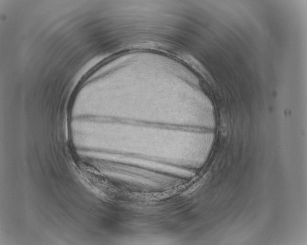 X0000076071036200610152222