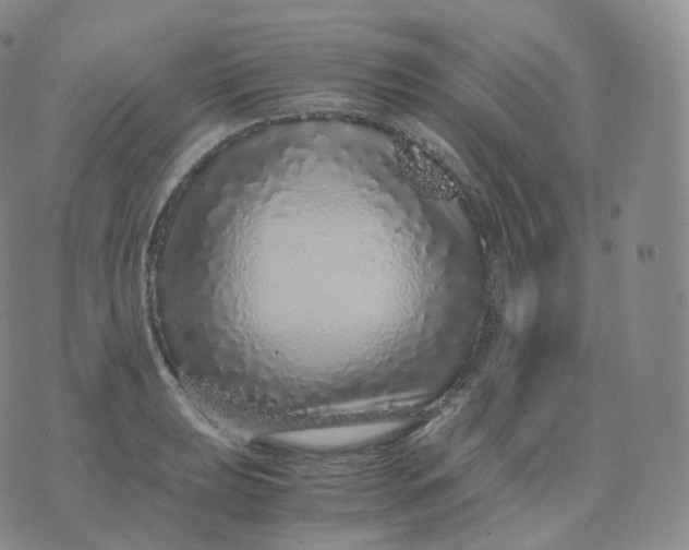 X0000076071039200610152222