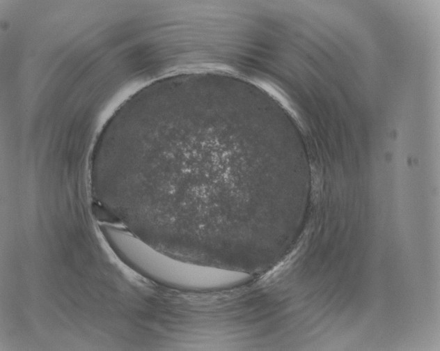 X0000076071046200610152223