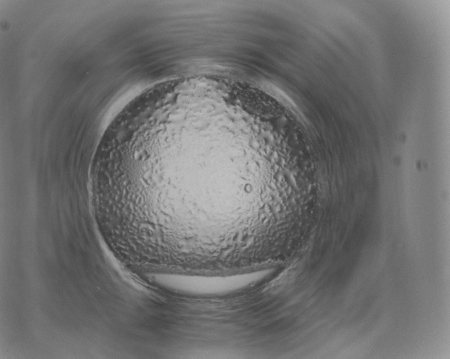 X0000076071047200610152223