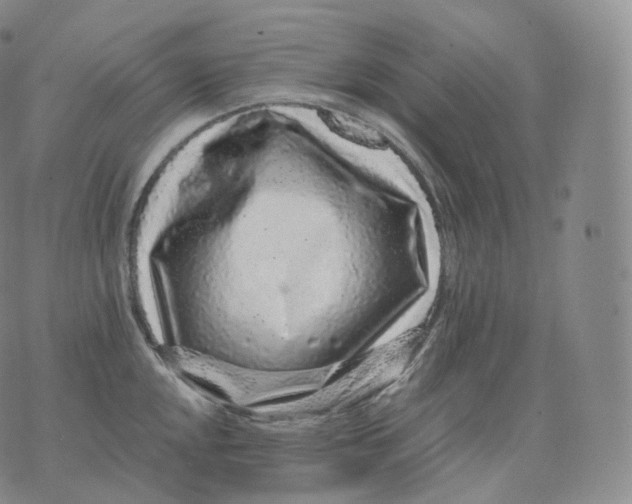 X0000076071048200610152223