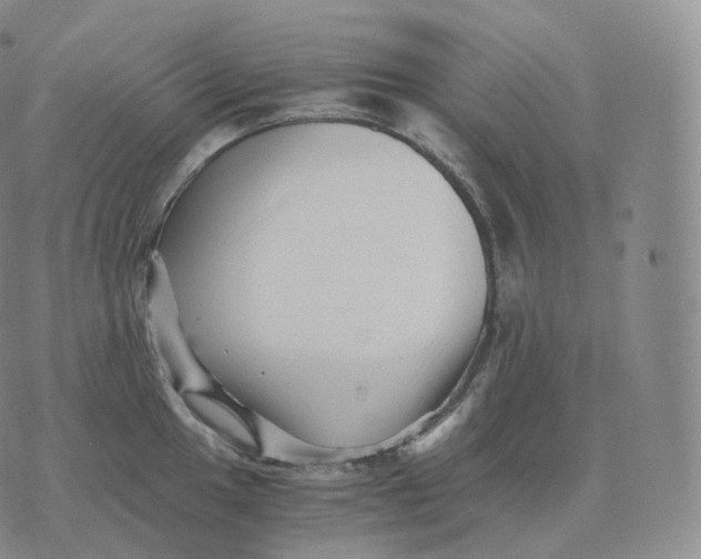 X0000076071049200610152223