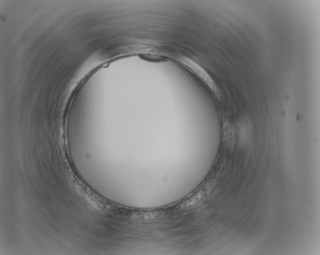 X0000076071051200610152223