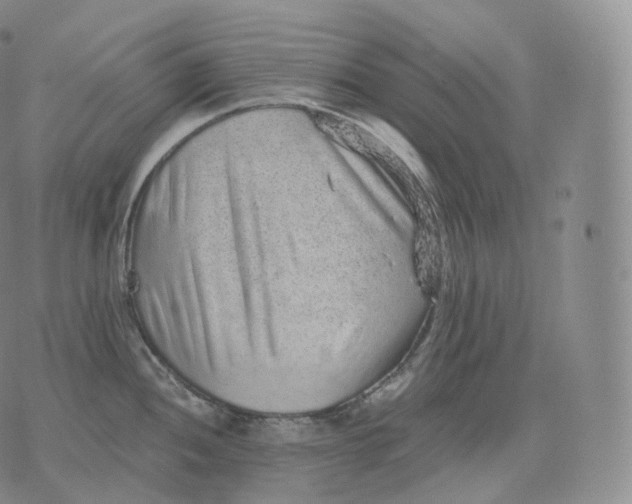 X0000076071052200610152223