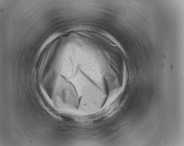 X0000076071053200610152223