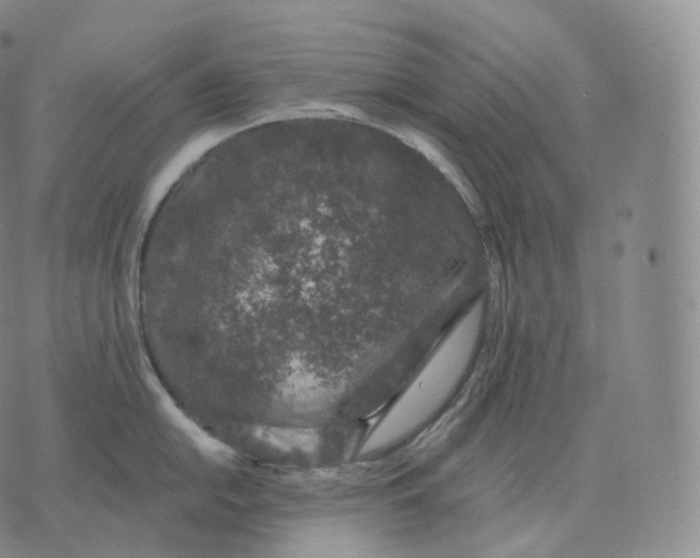 X0000076071054200610152223