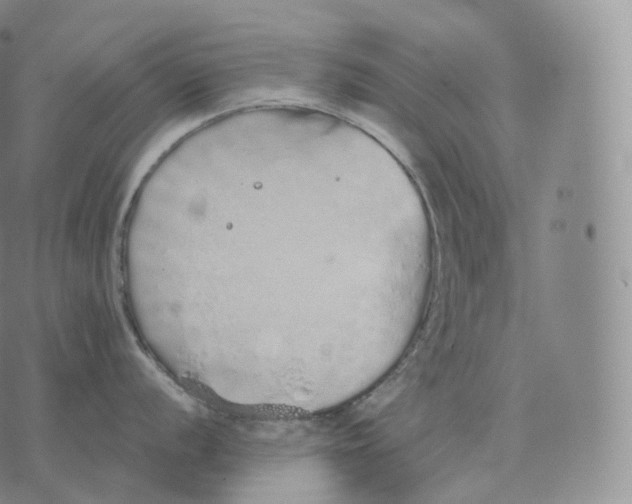 X0000076071056200610152223