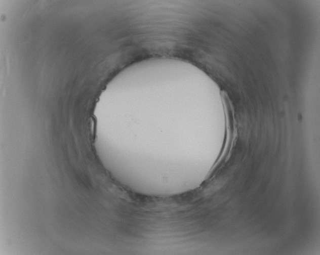 X0000076071057200610152222