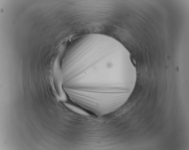 X0000076071058200610152222