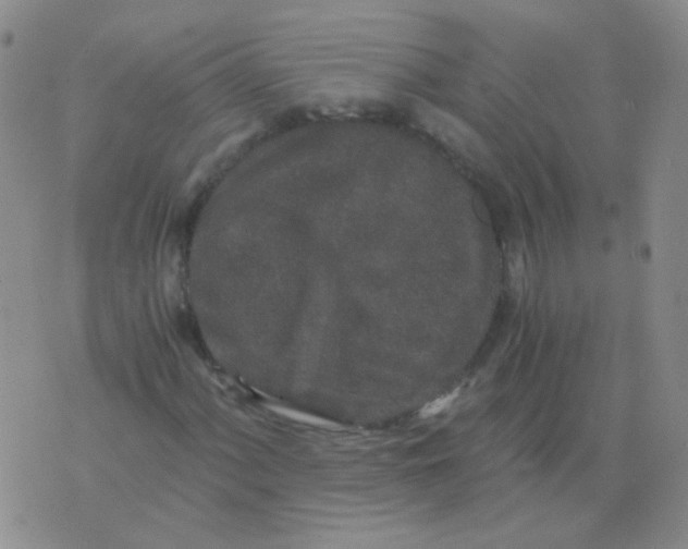 X0000076071060200610152222