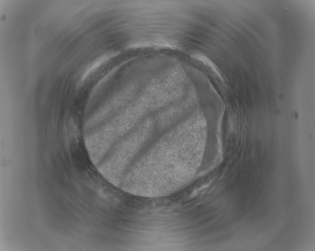 X0000076071064200610152222