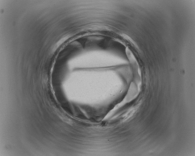 X0000076071065200610152222