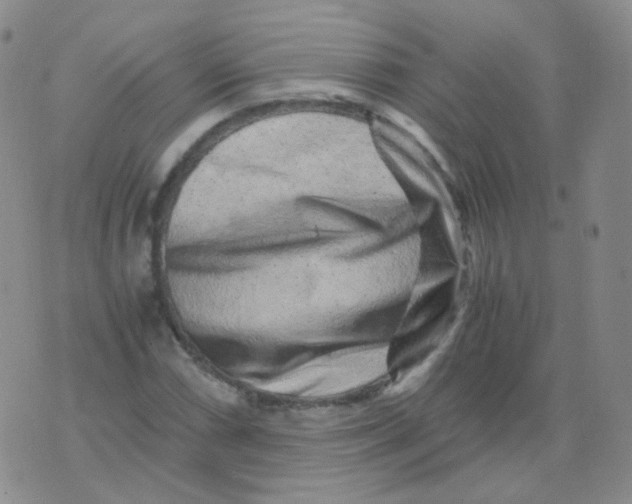 X0000076071066200610152222