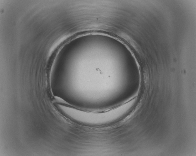 X0000076071069200610152222