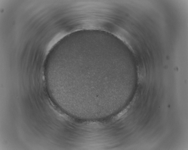 X0000076071070200610152222