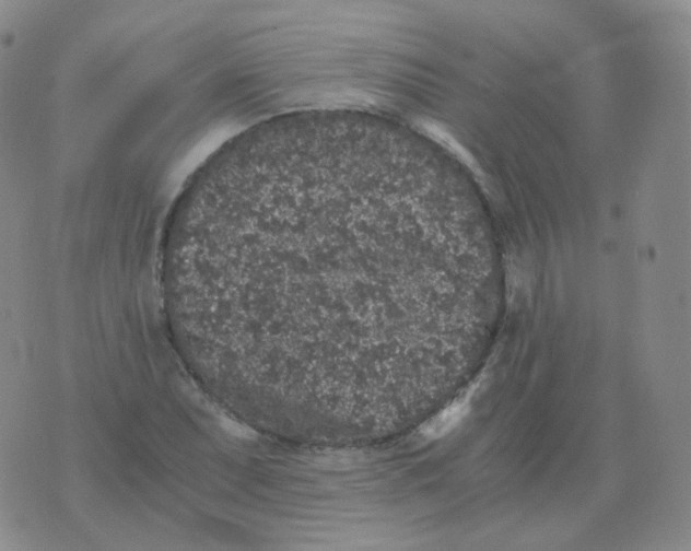 X0000076071071200610152222